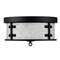 Westinghouse Fixture Ceiling LED Flush-Mount 60W 2L Callowhill 13In Mt Bl Anq Ash Sd Glass 6126100 - alternate 1